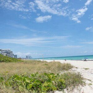 Meet your Posher, Chana